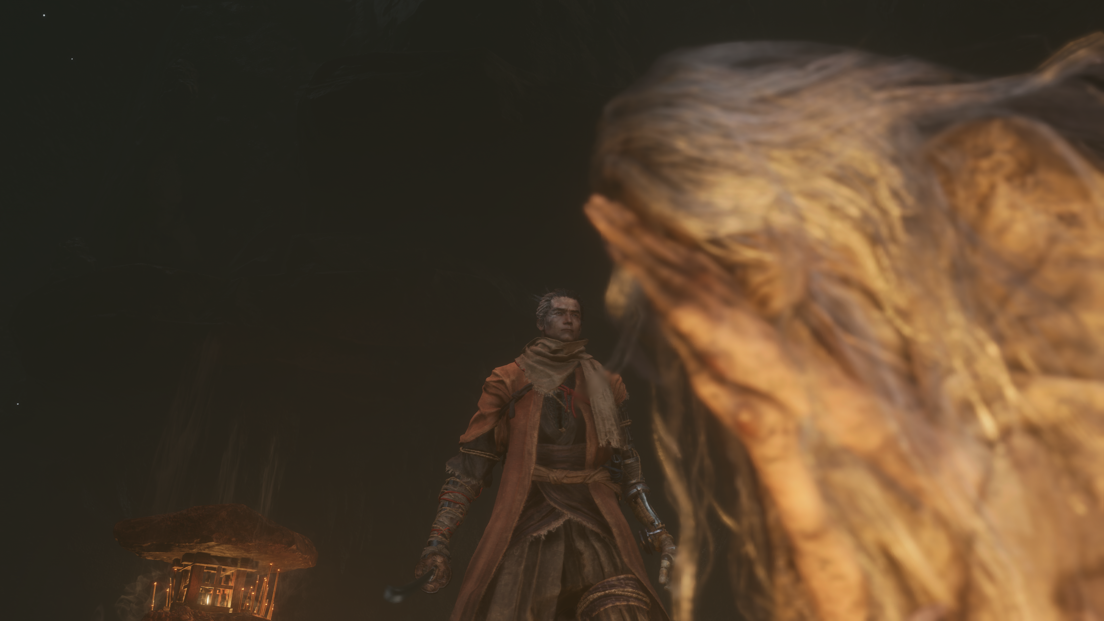 Sekiro-Shadows-Die-Twice-20260502214404.png