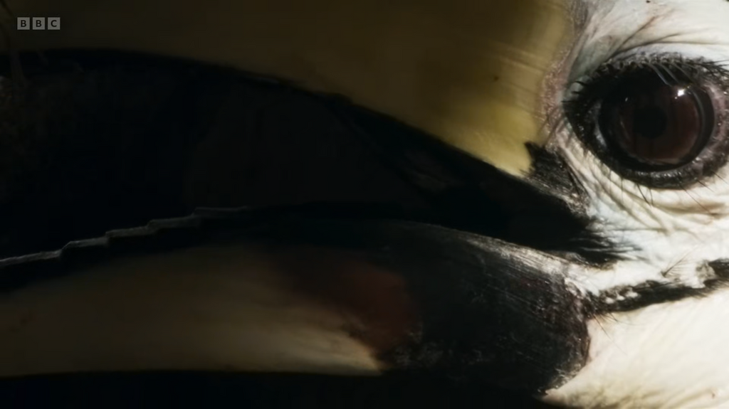 [Image: 6sut8g7lxlf3.png]