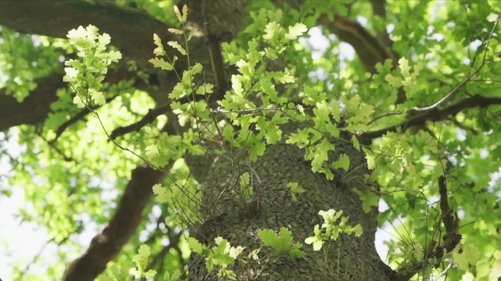 [Image: i9fuf6jy8ka0.jpg]