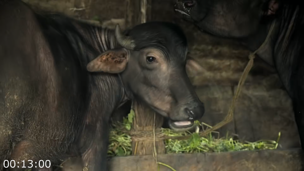 [Image: e9wj488znfed.png]