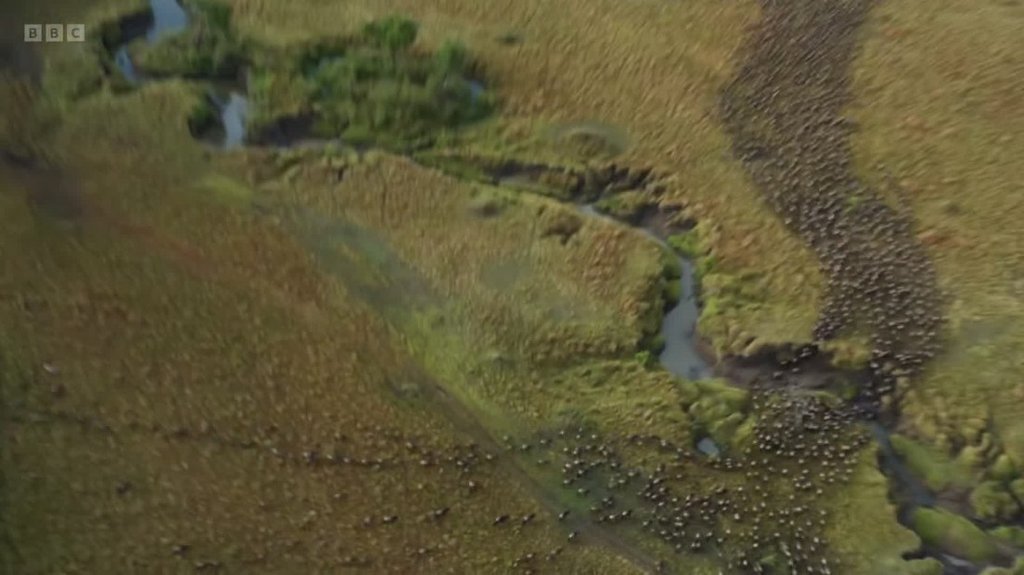 [Image: 84msp6bs7ywt.jpg]