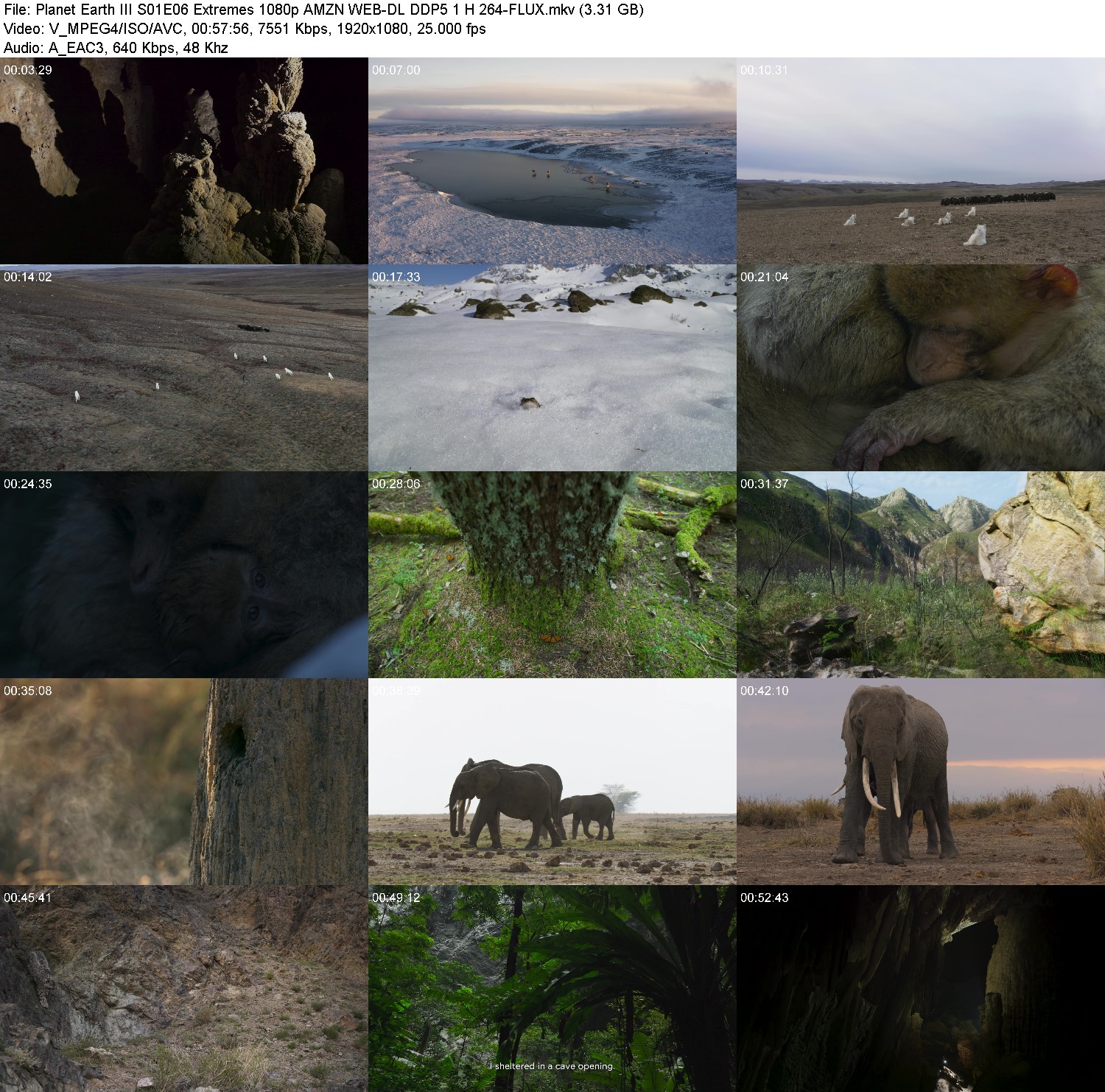 [Image: o2qsw-jx52d1f.jpg]