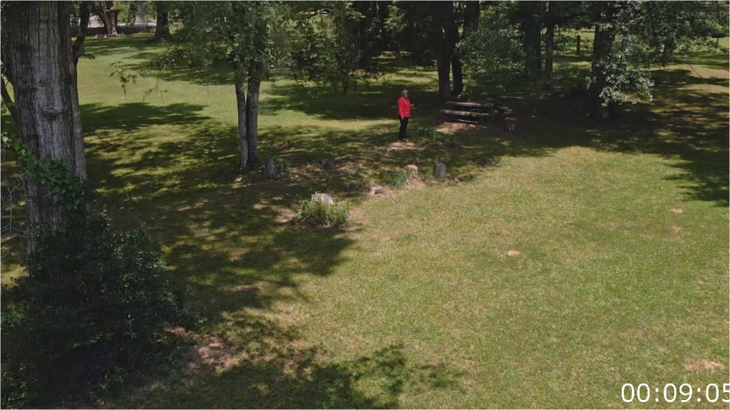 [Image: 91dasery99mk.png]