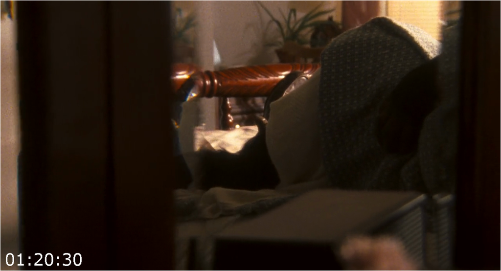 [Image: d9sfe7z01nyx.png]