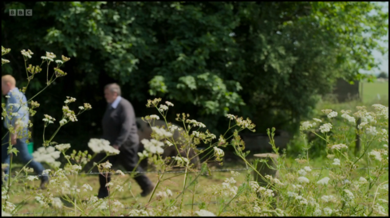 [Image: jjwc16l3r9qk.png]