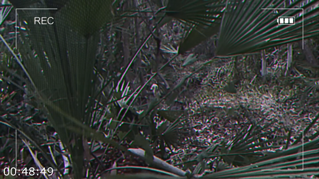 lq1v2q96cdzm.png