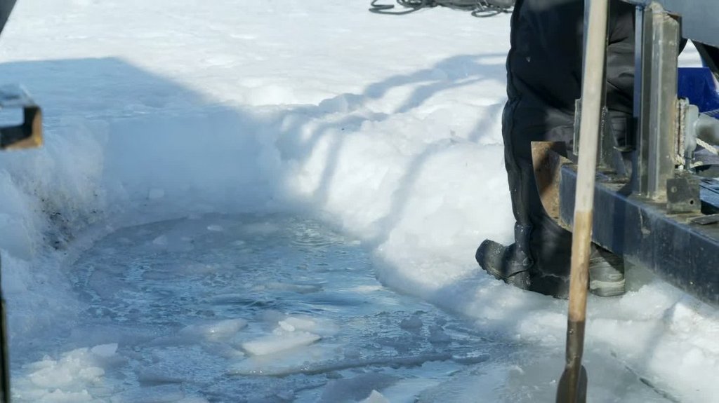 [Image: 011pqlh1xpuy.jpg]