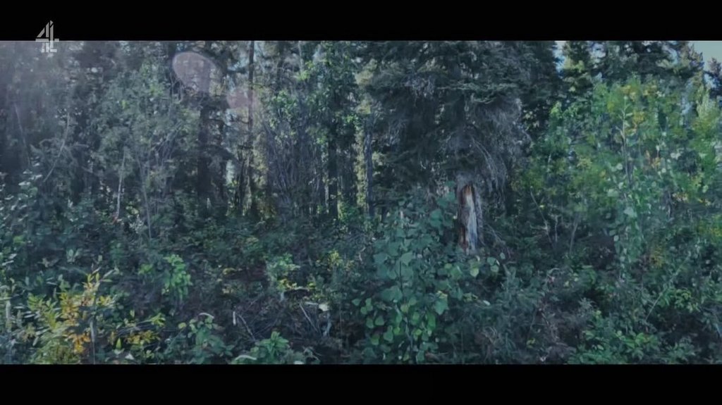 [Image: taoh04tiyz50.jpg]