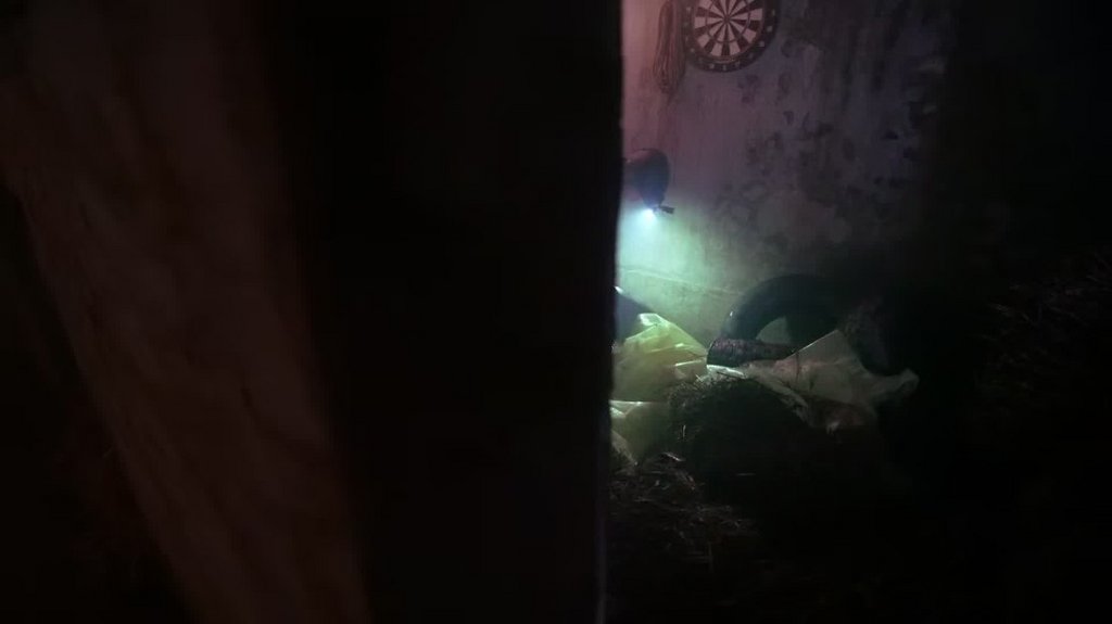 [Image: bcf1tt387jtp.jpg]