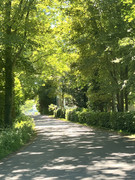 [Afbeelding: IMG-4329.jpg]