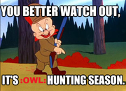 OwlHunting