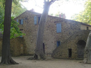 DSCN5307.jpg