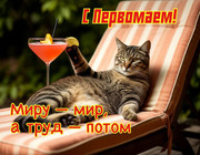 9f233a36-3928-4c60-b672-622063e5755d.jpg