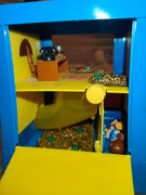 IMG-20240530-WA0042