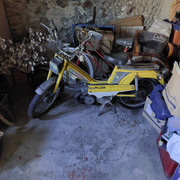 20221011-151150.jpg
