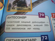 https://i.postimg.cc/4YLQXVXF/100-8074.jpg