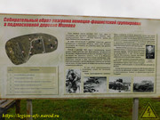 DSCN6400