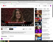 Bildschirmfoto-vom-2025-04-17-13-33-44