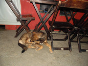 44.7.night dwellers VII