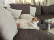 Ленивый Египет (Хургада, Луксор, Каир), декабрь 2025 - январь 2026 Ленивый Египет (Хургада, Луксор, Каир), декабрь 2025 - январь 2026