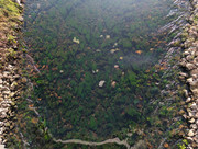 PXL 20260207 125139212