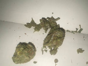 IMG_20250914_034457_422