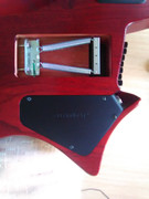 IMG-20200530-083036.jpg
