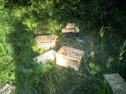 [Obrázky: IMG-20220720-194105-1.jpg]