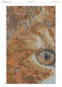 2890431-crosti-ru-color-11