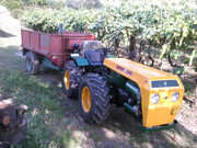Traktori BJR 86273368-2307227309576295-5490649155703406592-o