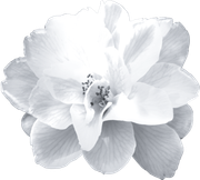 WINTER-LOVE-DBJ-ELEM-93