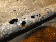 DSCF1550.jpg
