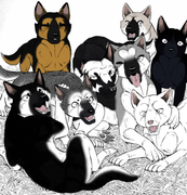 Lydia and Jerome family redesign