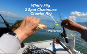 [Image: PERCH-2.jpg]