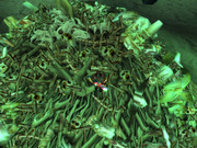 WoWScrnShot_122523_153652