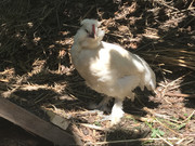 9F7A144C-D68E-490A-BCEA-D488DACF2677