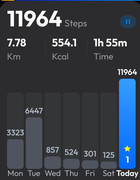 Screenshot_20250511_170549_Pedometer - Step Counter