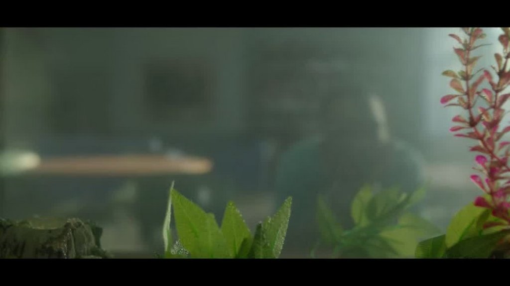 [Image: 2ud866pfnvuw.jpg]