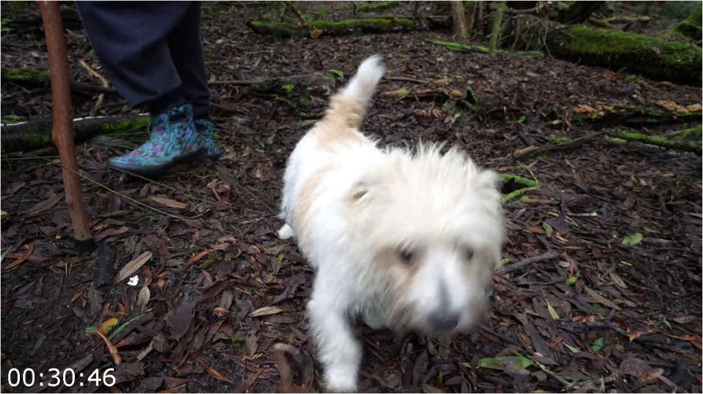 [Image: 80zz9xlpad7m.png]