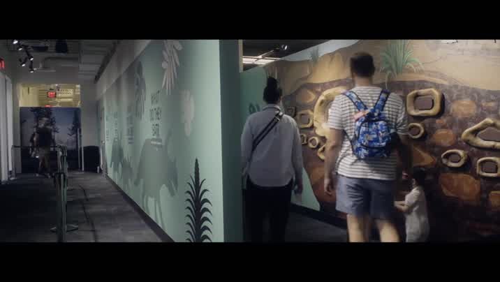 [Image: zbck0370ilka.jpg]