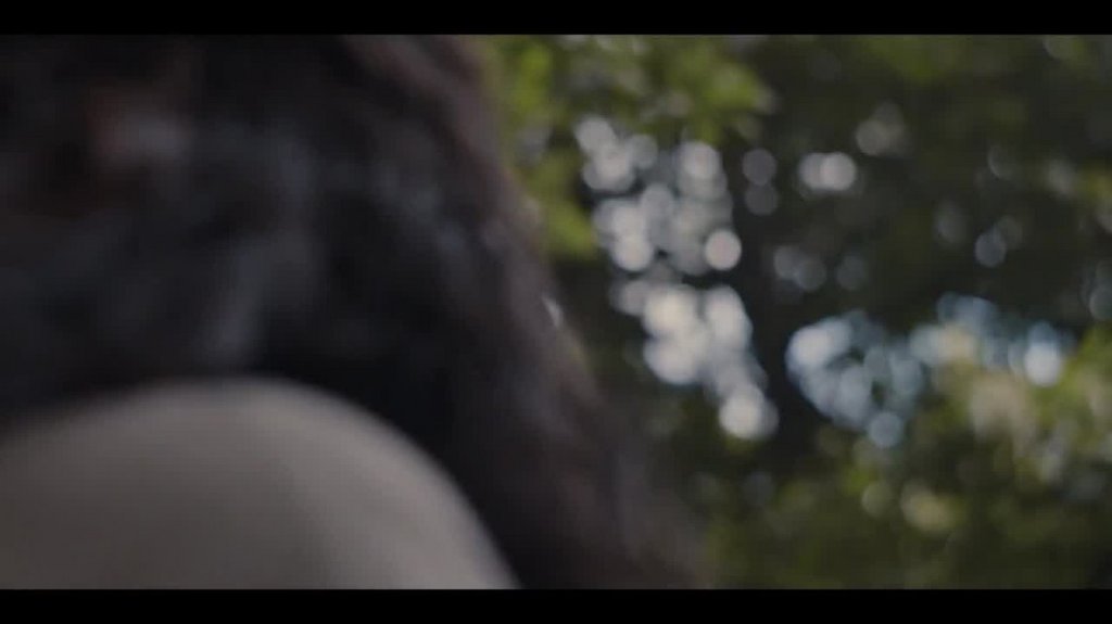 [Image: usl619urlmi1.jpg]