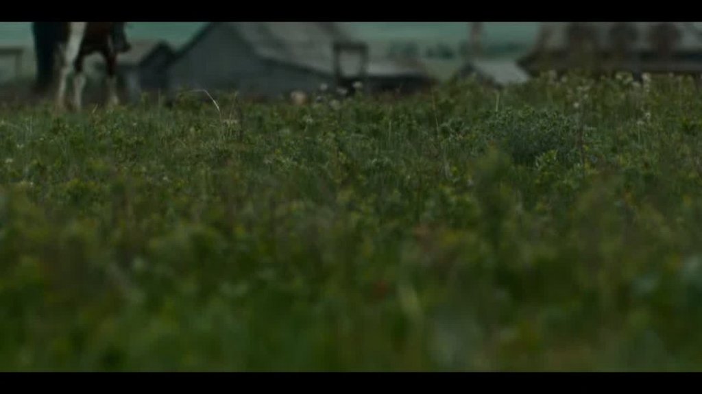 [Image: v3ma5z3yepe0.jpg]