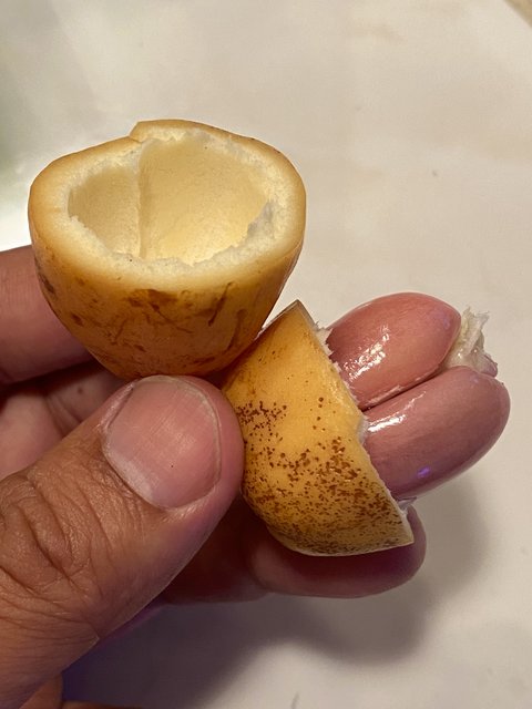 1D037C0F-A8F9-4312-896F-BB3B10C27DD4