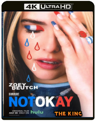 Not Okay (2022) WEBDL 2160p x265 HDR E-AC3+AC3 ITA ENG