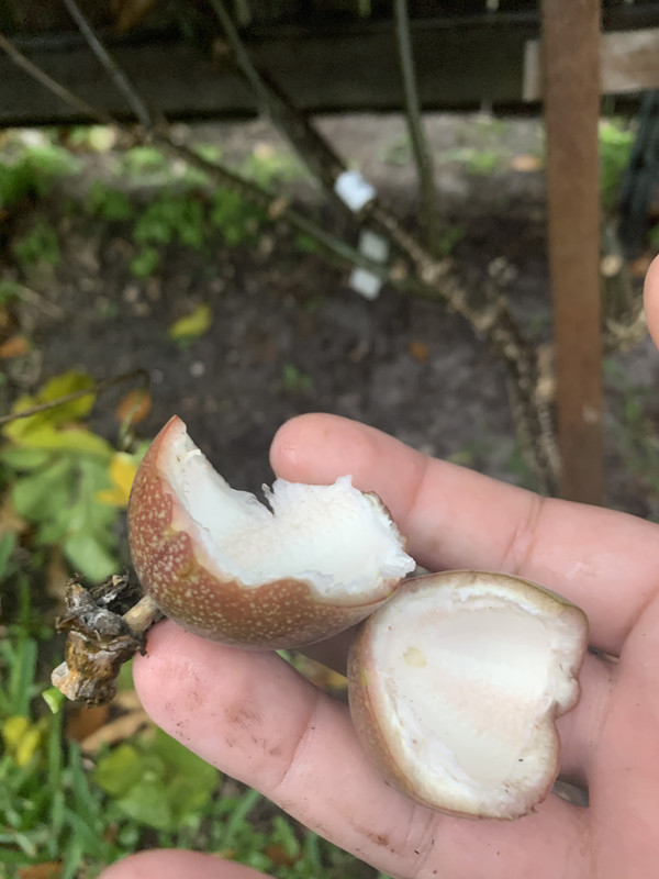 6BBAC870-7F32-4F6B-9238-DB1892C7FDFA