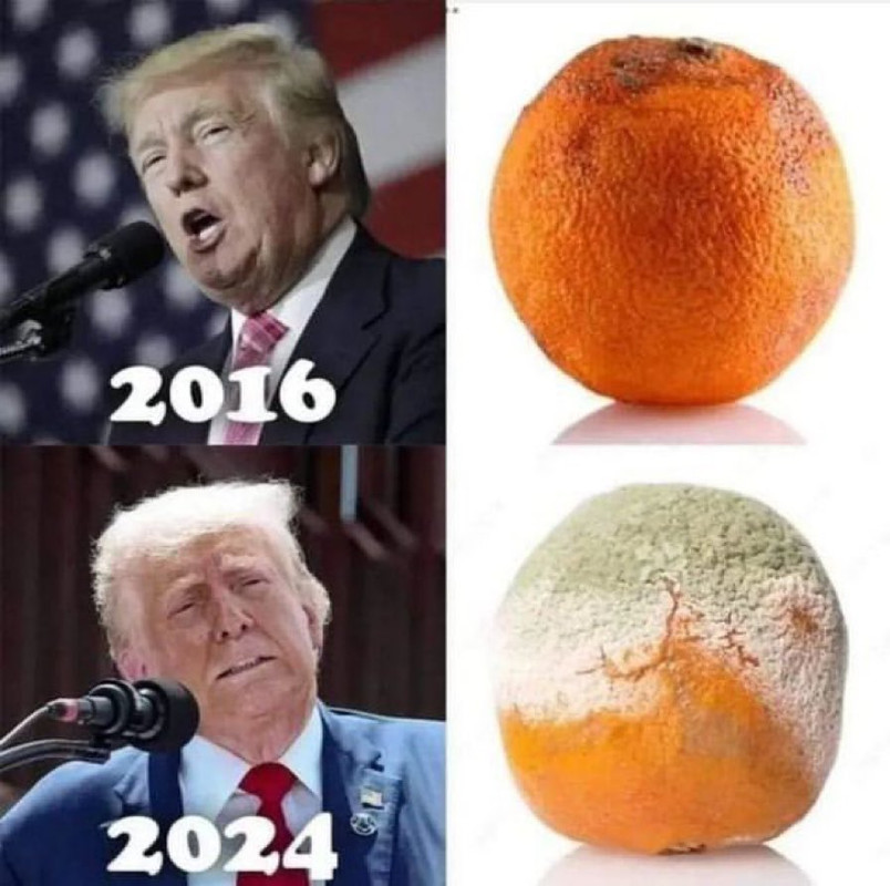 [Image: Orango.jpg]