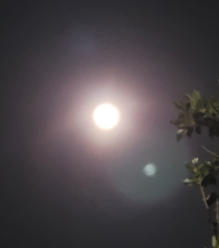 20221011-231054.jpg