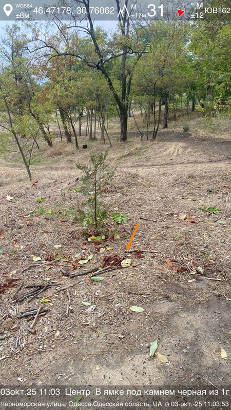 photo_2025-10-03_14-18-04