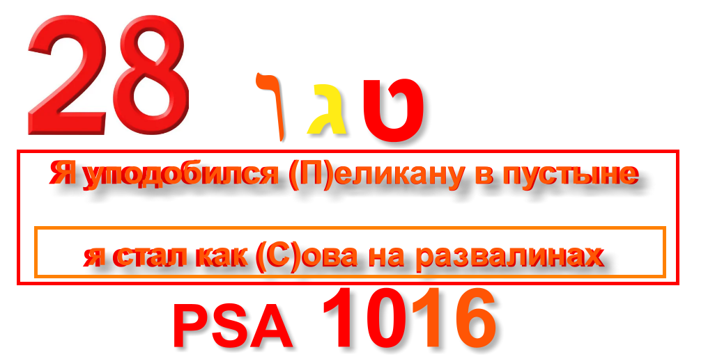 https://i.postimg.cc/4d0xW811/4-2.png