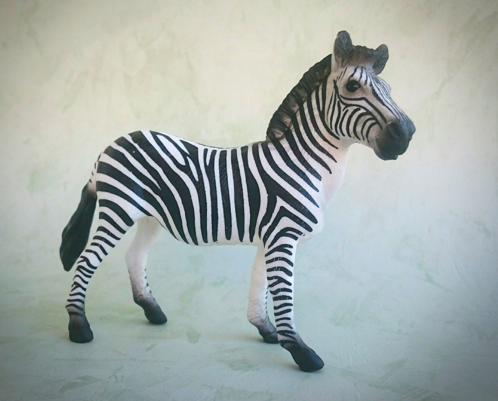 Mojo 2020 - Zebra and foal 20200627-133341